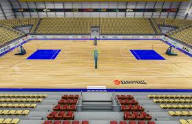 Basketbol Sahası